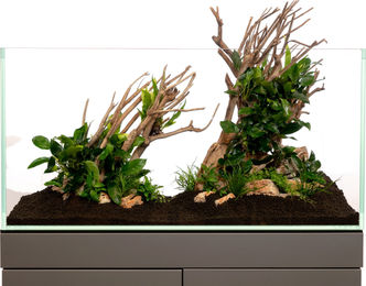 Produktbild von Olibetta Talawa