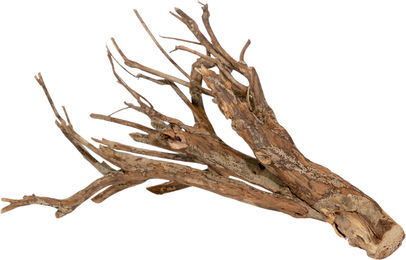 Olibetta Talawa Holz Braun – Bild 1 von 1