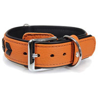 Produktbild von Olivvia Leder Hundehalsband Granada Walnut/Black aus Leder 50 cm x 40 mm verstellbar 38-44 cm
