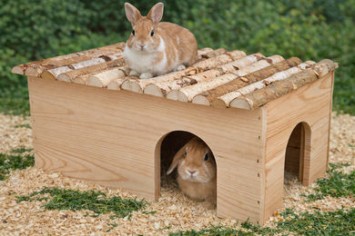 Ollesch Nagerhaus Hagar aus Holz für Meerschweinchen und Kaninchen 40x23x20 cm – Bild 1 von 4
