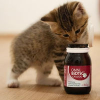 Produktbild von Omni Biotic Cat & Dog Probiotisches Ergänzungsfuttermittel für Hunde und Katzen zur Stabilisierung der Darmflora 60 g - 60 g