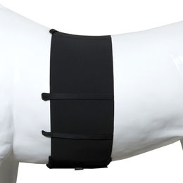 Produktbild von ONE Equestrian Bodybandage Körperbandage Schwarz 175cm