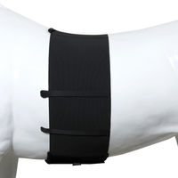 Produktbild von ONE Equestrian Bodybandage Körperbandage Schwarz 175cm