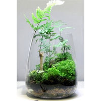 Produktbild von ONF Moss Micro Landscape Set