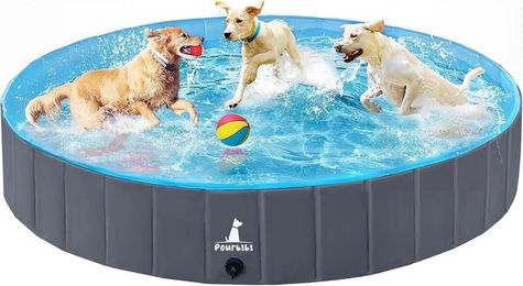 Ophy Faltbarer Hundepool aus stabilem PVC für Hunde und Katzen 160x30 cm – Bild 1 von 4