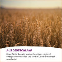 Produktbild von Optimax Eifutter Konditions- und Aufzuchtfutter für Vögel wie Kanarienvögel und Wellensittiche 1kg Eimer - 1 kg