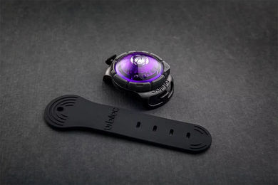 Produktbild von Orbiloc Dual Safety Light für Hunde aus Silikon Lila wasserdicht