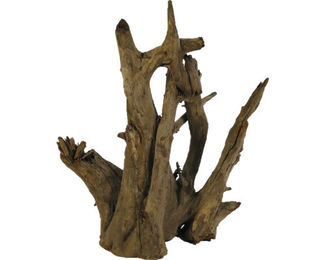 ORBIT Aquariumwurzel Corbo aus Holz in Braun ca. 30-35 cm – Bild 1 von 2