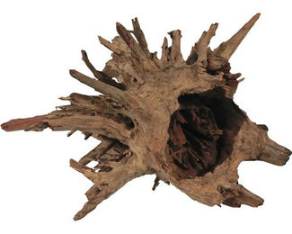 Produktbild von ORBIT Corbo Wood Aquarieneinrichtung Wurzel für Süßwasser Fisch und Wirbellose Braun 40 - 50 cm