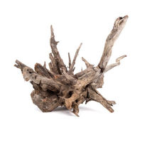 Produktbild von Orbit Corbo Wurzel Aquarieneinrichtung Large 40-60 cm