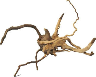 Orbit Finger-Wurzel Aquariumdeko für Fische Braun Größe S 15-20 cm – Bild 1 von 2