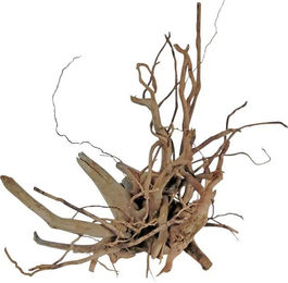 Produktbild von Orbit Finger-Wurzel aus Naturholz für das Aquarium Braun Größe M 30-40 cm