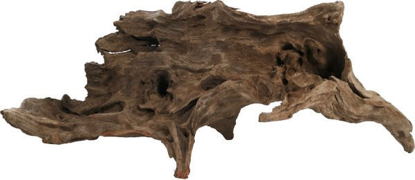 Produktbild von Orbit Kapas-Wurzel Naturholz für Aquarium und Reptilien Größe L 35-40 cm