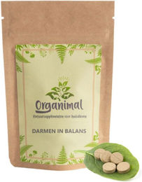 Organimal Darm in Balance Probiotika Tabletten für große Hunde zur Unterstützung der Magen-Darm-Verdauung 90 Stück – Bild 1 von 2