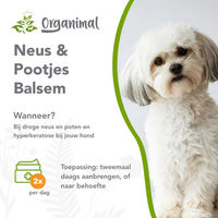 Produktbild von Organimal Nasen- und Pfotenbalsam Pfotenpflege für Hunde 50 ml