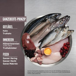 Orijen Fit and Trim Katzenfutter mit Huhn Truthahn und Fisch getreidefrei 2x5,4 kg - 2 x 5,4 kg – Bild 1 von 2