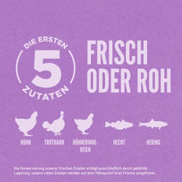 Orijen Puppy Large Breed Trockenfutter für Hunde Welpen Getreidefrei mit hohem Fleischanteil 2x11,4 kg - 2 x 11,4 kg – Bild 1 von 2