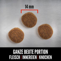Orijen Senior Hundefutter Getreidefrei mit Geflügel Pute und Fisch 2x11,4 kg - 2 x 11,4 kg – Bild 1 von 3