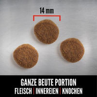 Produktbild von Orijen Senior Hundefutter Getreidefrei mit Geflügel Pute und Fisch 2x11,4 kg - 2 x 11,4 kg