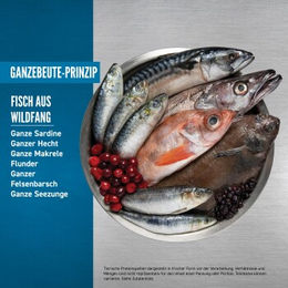 Orijen Six Fish Katzenfutter Adult Hypoallergen mit hohem Fleischanteil 2x11,4 kg - 2 x 11,4 kg – Bild 1 von 2