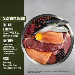 Orijen Tundra Hundefutter mit hohem Fleischanteil für alle Altersstufen 2x6 kg - 2 x 6 kg – Bild 1 von 2