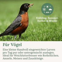 Produktbild von Orni getrocknete Mehlwürmer 1,5 kg Premium Insektenfutter für Igel und Eichhörnchen