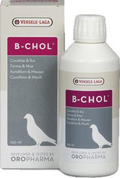 Oropharma Biochol Nahrungsergänzungsmittel für Tauben 500 ml – Bild 1 von 2