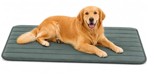 Orthopädisches Hundebett und Katzenbett Flamingo Xana in Grün mit Memory Foam für Metallkäfige 116 x 69 x 2 cm – Bild 1 von 5