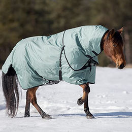 Outdoordecke FLEXIBLE PRO 250 in Schwarz und Silber – Bild 1 von 2