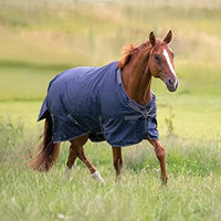 Produktbild von Outdoordecke FLEXIBLE PRO 50 in Blau und Grau
