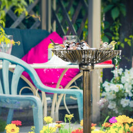 Outsunny Vogelhaus aus Kunststoff in Bronze für den Garten und Balkon – Bild 1 von 12