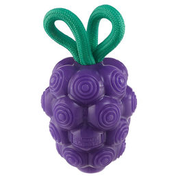 Outward Hound by Planet Dog Dental Grapes Hundespielzeug mit Leckerlifüller lila Größe M – Bild 1 von 13