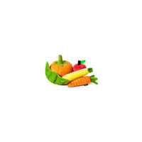 Produktbild von P.L.A.Y. Garden Fresh Set Hundespielzeug aus Plüsch mit 5 Mini Quietschspielzeugen in Geschenkbox