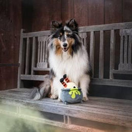 P.L.A.Y. Pet Lifestyle & You Quietschspielzeug Pups Potion für Hunde aus Polyester – Bild 1 von 2