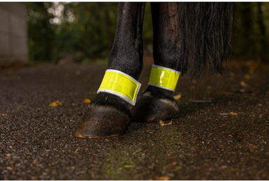 Produktbild von Paar elastische Pferdebandagen für die Hinterhand Norton