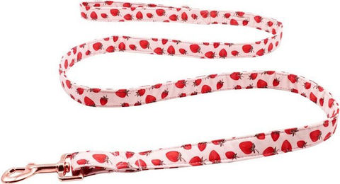 Produktbild von PACIEA Hundeleine Gepunktet Erdbeeren 100% Baumwolle