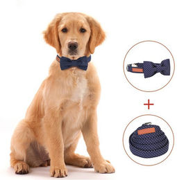 Produktbild von PACIEA Hundeleine Set mit verstellbaren Halsbändern