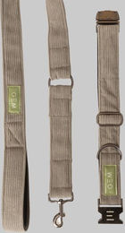 Produktbild von Packung Halsband &amp; Leine für Hunde GEM