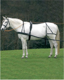 Produktbild von Pad für das Geschirr für Kaltblüter Star