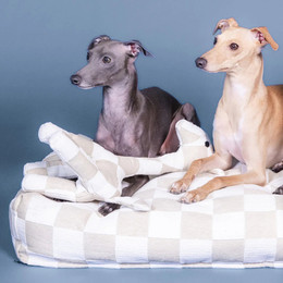 Produktbild von PAIKKA Hundespielzeug Giraffe