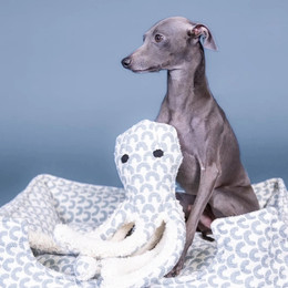 Produktbild von PAIKKA Hundespielzeug Kleiner Oktopus blau