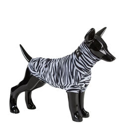 Produktbild von Paikka Hundeweste UV & Bug Zebra 45 cm