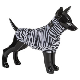 Produktbild von Paikka UV & Bug Shirt Repeltec 60 cm