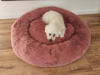 Produktbild von Pamek Hundekorb Hunde-Himmel Plüsch