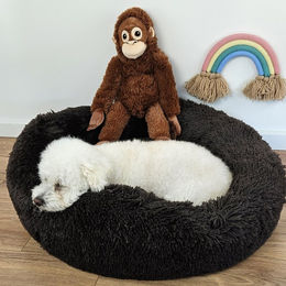 Produktbild von Pamek Hundekorb küscheliges Tierbett Hunde-Himmel Plüsch