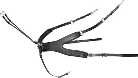 Produktbild von Passier Auriga Vorderzeug