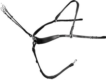 Produktbild von Passier Boundless Vorderzeug by Julia Krajewski