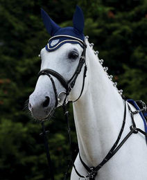 Produktbild von Passier Juno Trense mit Edelstahlbeschlägen