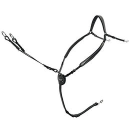 Passier Marcus Ehning Vorderzeug – Bild 1 von 2