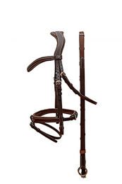 Passier No Limits Springtrense – Bild 1 von 3